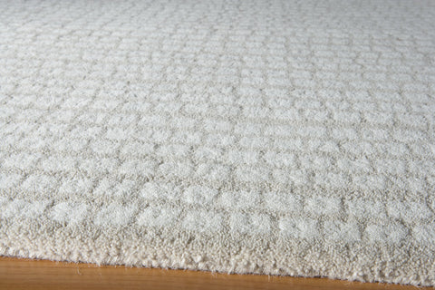 Momeni Delhi Collection Rug DELHIDL-32BGE