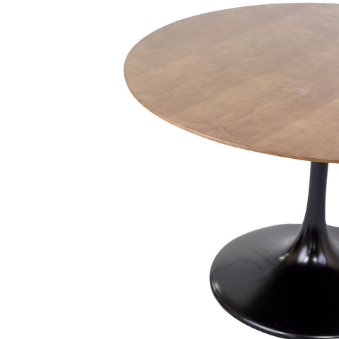 Modway Lippa 48" Walnut Dining Table
