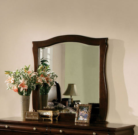 Carlin Transitional Style Wood-Framed Mirror