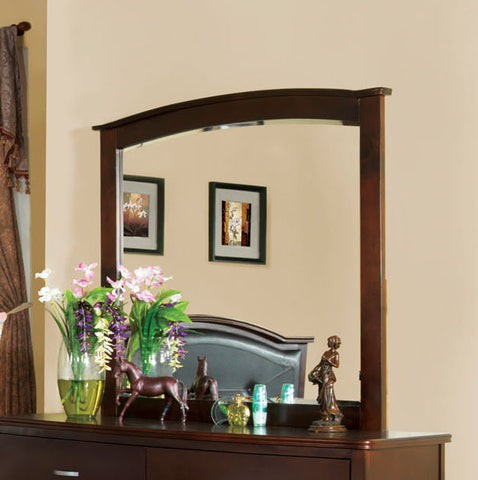Paolo Transitional Style Wood-Framed Mirror