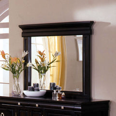 Viktor Traditional Style Wall-Framed Mirror