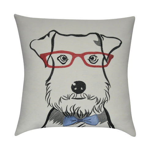 22" x 22"   Decorative Pillow P0221-2222P