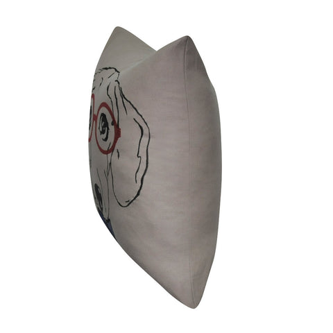 22" x 22"   Decorative Pillow P0225-2222P