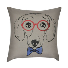22" x 22"   Decorative Pillow P0225-2222P