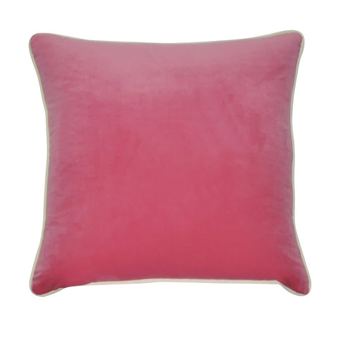 22" x 22"   Decorative Pillow P0283-2222P