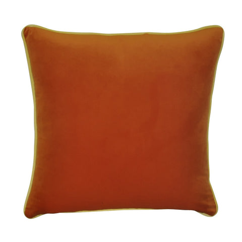 22" x 22"   Decorative Pillow P0284-2222P