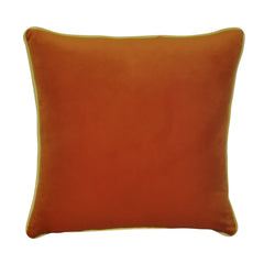 22" x 22"   Decorative Pillow P0284-2222P