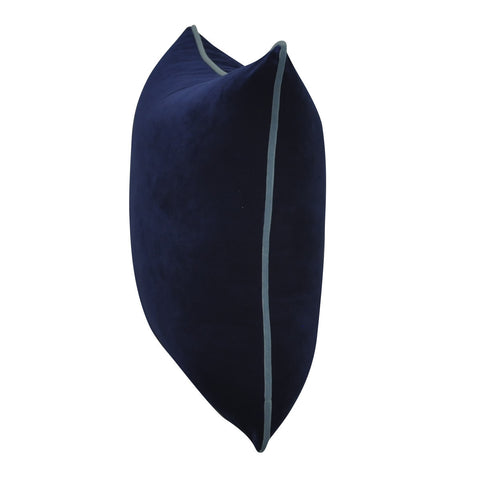 22" x 22"   Decorative Pillow P0290-2222P