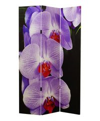 Orchid Screen