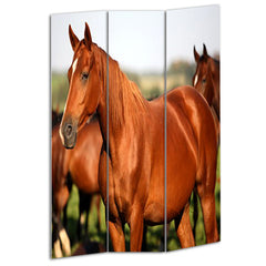 Horse Screen