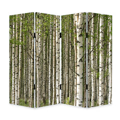 Prolific Forrest Screen