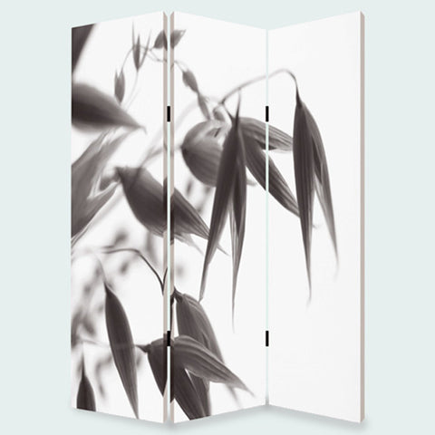 Lilly Screen