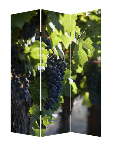 Wine Country Screen