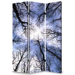 Forest Screen