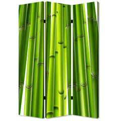 Bamboo Screen