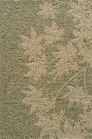 Momeni Veranda Collection Rug VERANVR-17SAG