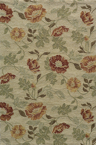 Momeni Veranda Collection Rug VERANVR-24SND