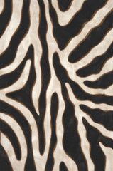 Trans Ocean Visions II Collection 3043/48 ZEBRA BLACK