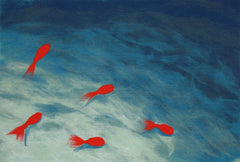 Trans Ocean Visions III Collection 4112/04 GOLDFISH AQUA