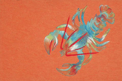 Trans Ocean Visions III Collection 4153/17 LOBSTER ORANGE